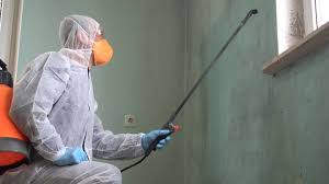 Best Forensic Mold Investigation  in Welcome, NC