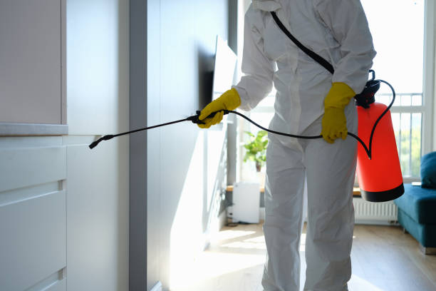 Trusted Welcome, NC Mold Remediation Experts