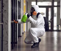 Best Residential Mold Inspection & Testing  in Welcome, NC