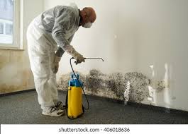 Best Emergency Mold Remediation  in Welcome, NC